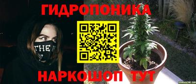 герыч Будённовск