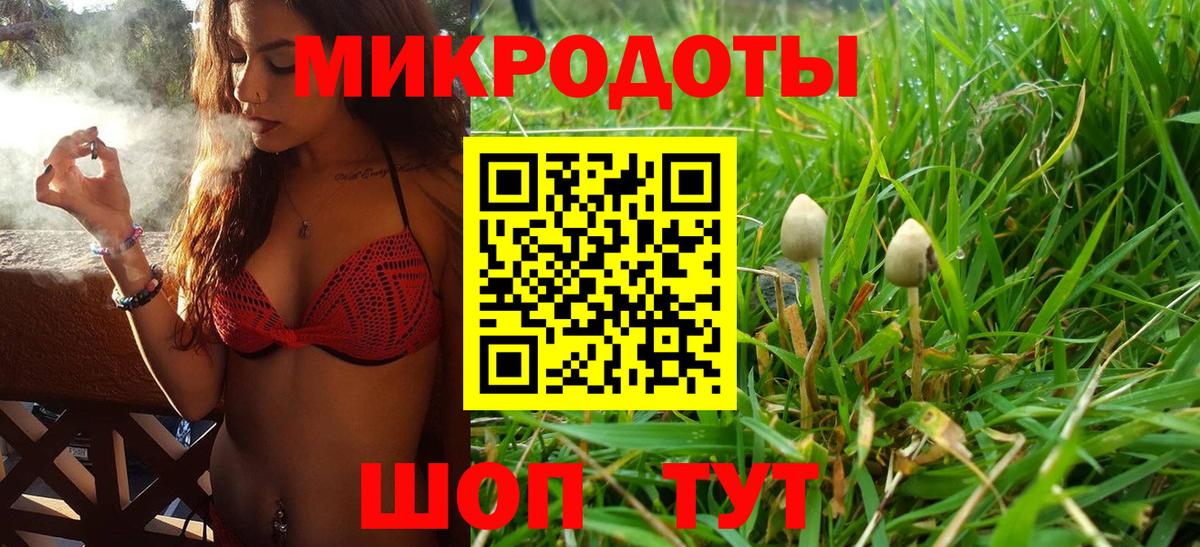 Тельмана  Галлюциногенные грибы Psilocybe  Псилоцибиновые грибы GOLDEN TEACHER  Вход с VPN 